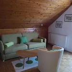 Haus Birke Appartement
