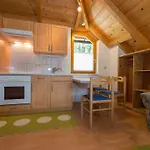 Appartement Haus Birke *