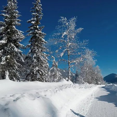 Haus Birke Weissensee
