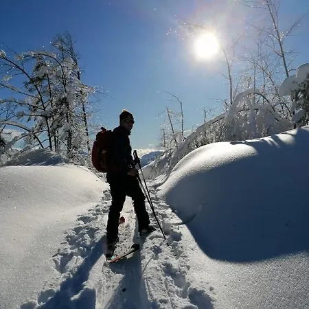 Haus Birke Weissensee