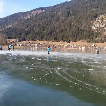 Haus Birke Appartement Weissensee