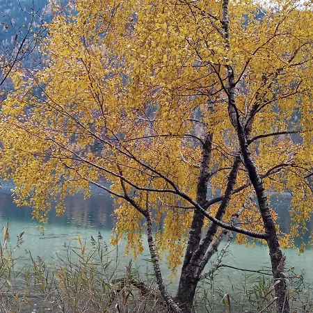 Haus Birke Weissensee