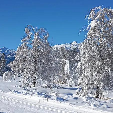 Haus Birke * Weissensee
