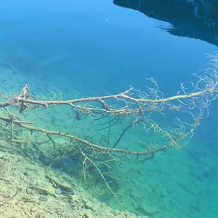 Haus Birke Appartement *