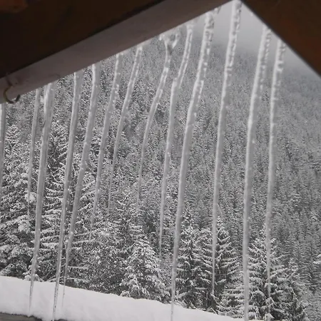 Haus Birke * Вайсензее
