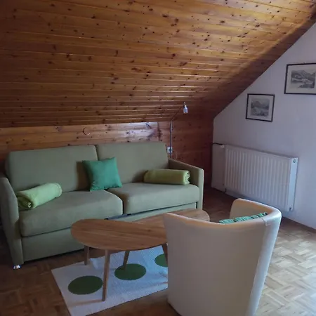 Haus Birke Apartment