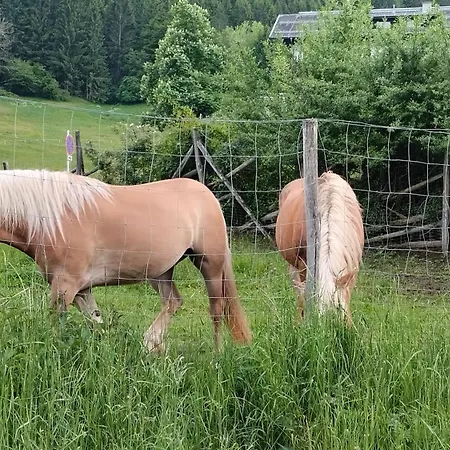 Haus Birke Weissensee