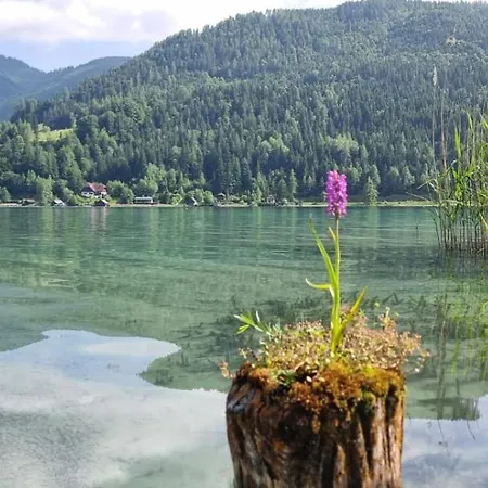 Διαμέρισμα Haus Birke Weissensee