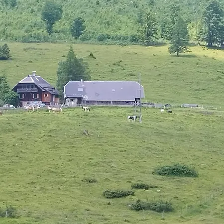 Haus Birke *
