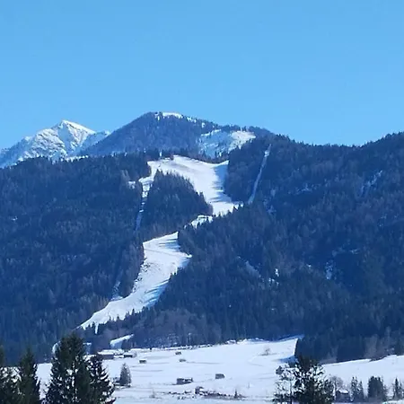 Daire Haus Birke