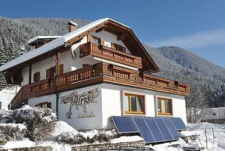 Διαμέρισμα Haus Birke *