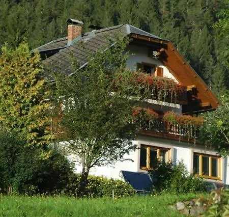 Haus Birke Appartement Weissensee